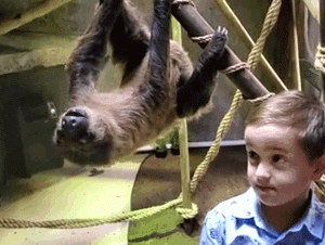 Kid With Sloth